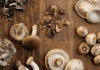 Shiitake Heilpilze