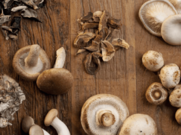 Shiitake Heilpilze