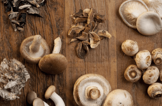 Shiitake Heilpilze