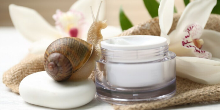 Schneckenschleim Creme Anwendung Wirkung Vorteile
