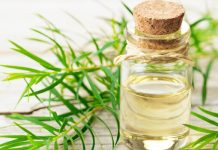 Teebaumöl Haut Haare Gesundheit