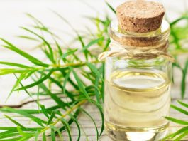 Teebaumöl Haut Haare Gesundheit