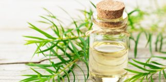 Teebaumöl Haut Haare Gesundheit