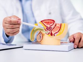 Prostata Diagnose Behandlung Symptome