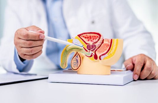 Prostata Diagnose Behandlung Symptome