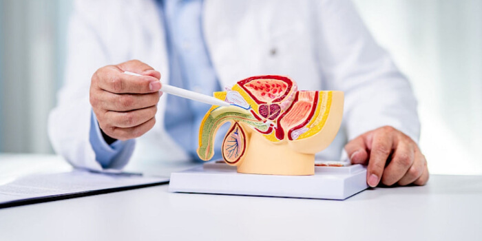 Prostata Diagnose Behandlung Symptome