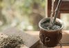 Provilea Detox Tee im Test: Anwendung, Wirkung, Preis und Erfahrungen Mate Detox Tee