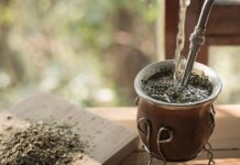 Provilea Detox Tee im Test: Anwendung, Wirkung, Preis und Erfahrungen Mate Detox Tee